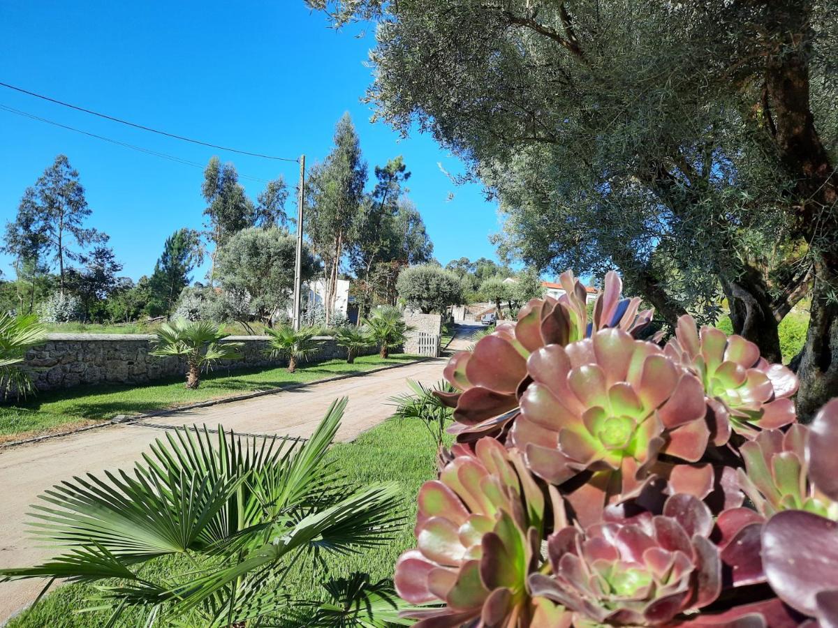 Quinta De Castelhao Farm stay *