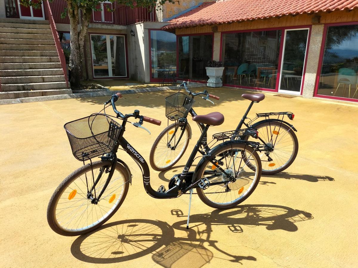Farm stay Quinta De Castelhao